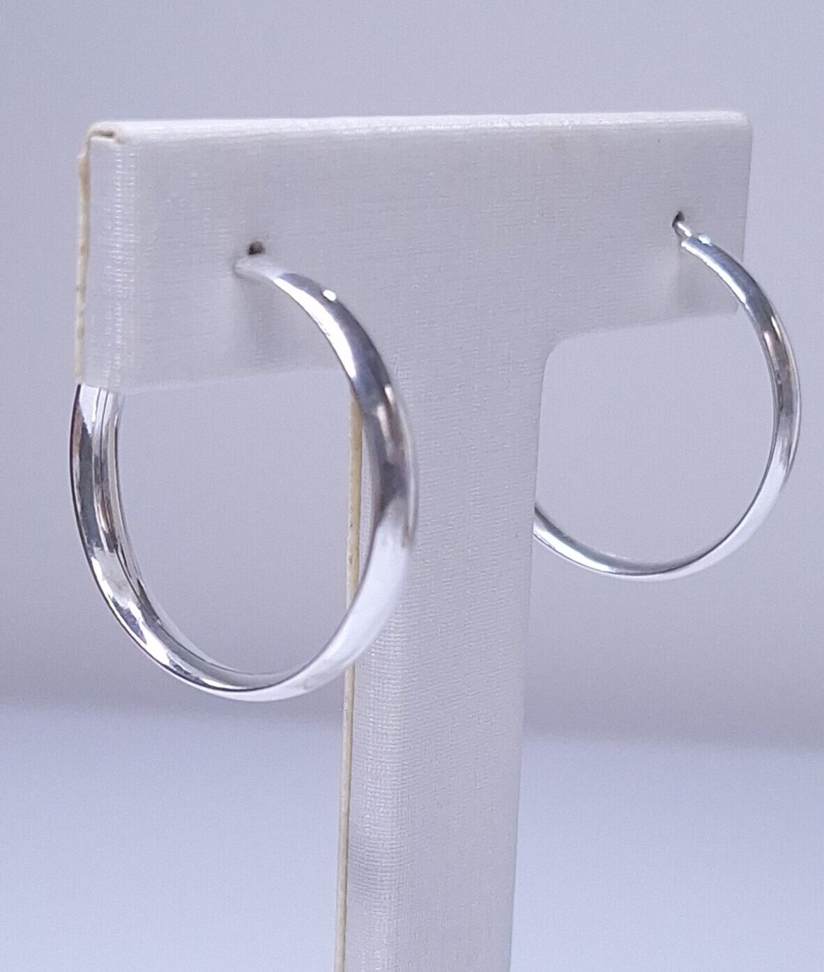 Brinco Argola Lisa Grossa 4mm Prata 925